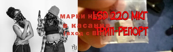 гидропоника Надым