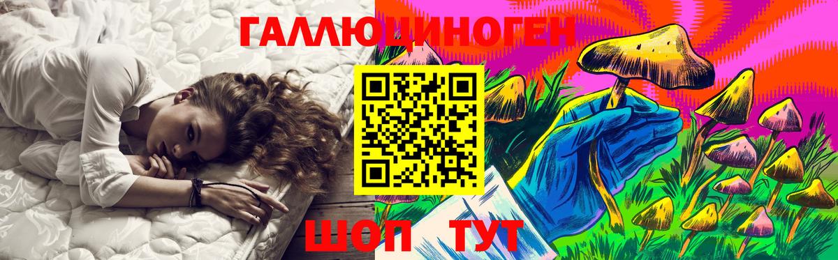 Томск  наркотики  Вход с VPN  Псилоцибиновые грибы Psilocybine cubensis 