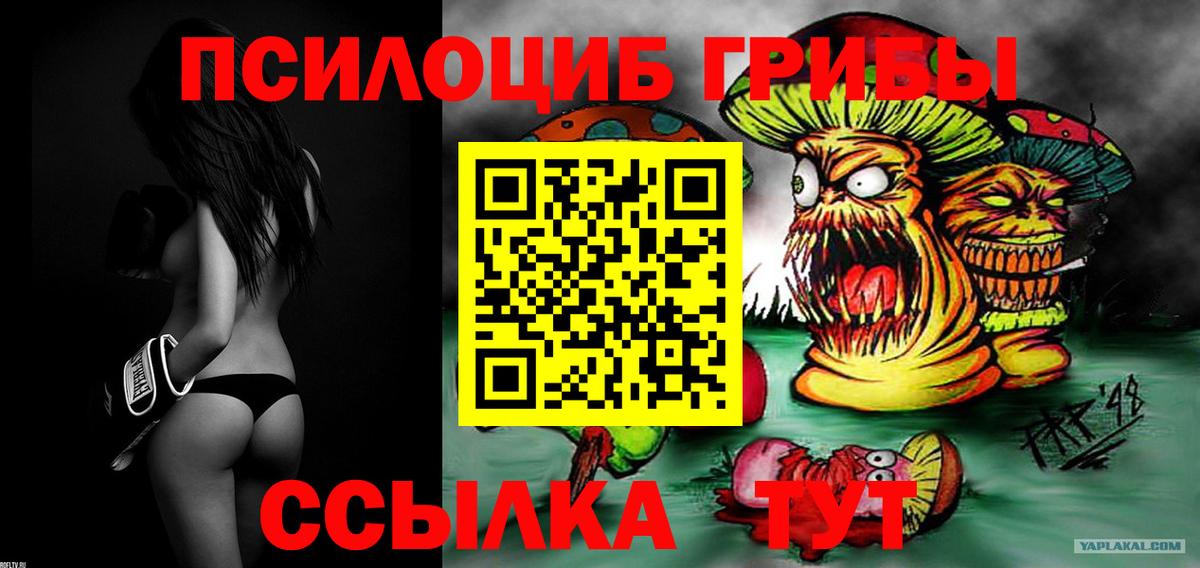 Псилоцибиновые грибы прущие грибы Томск