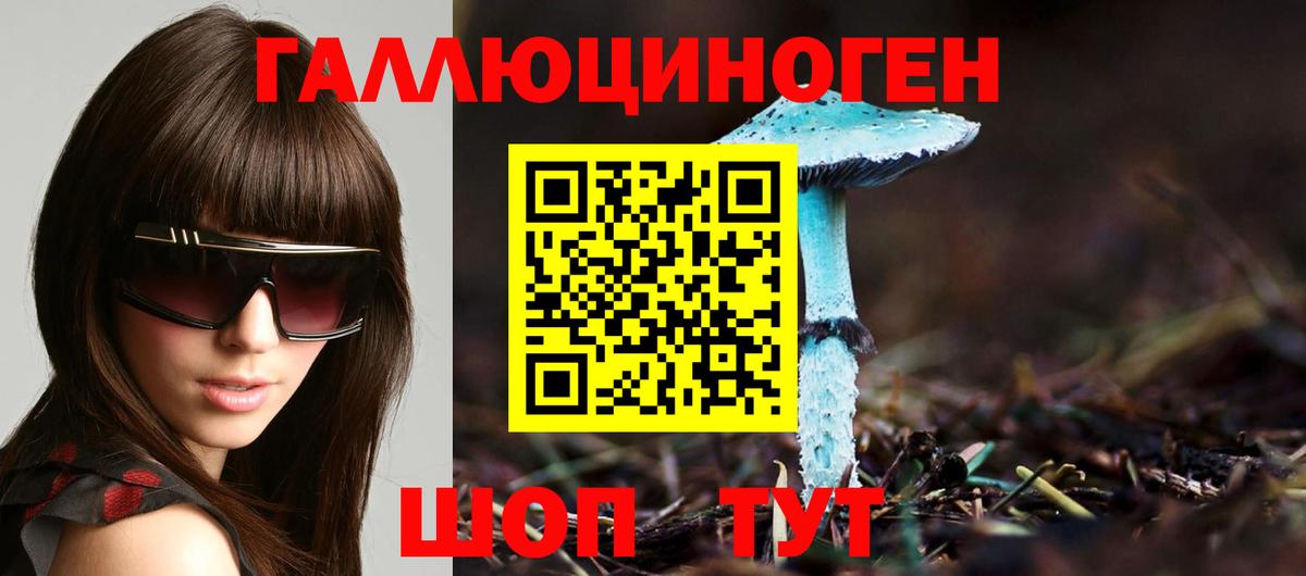 Псилоцибиновые грибы Psilocybe  где найти   Томск 